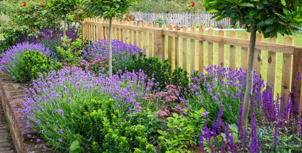 Faire un parterre de fleurs sans entretien : 7 astuces indispensables