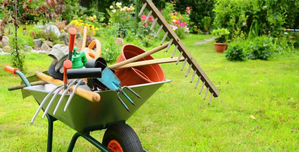 Comment entretenir mes plants ? 