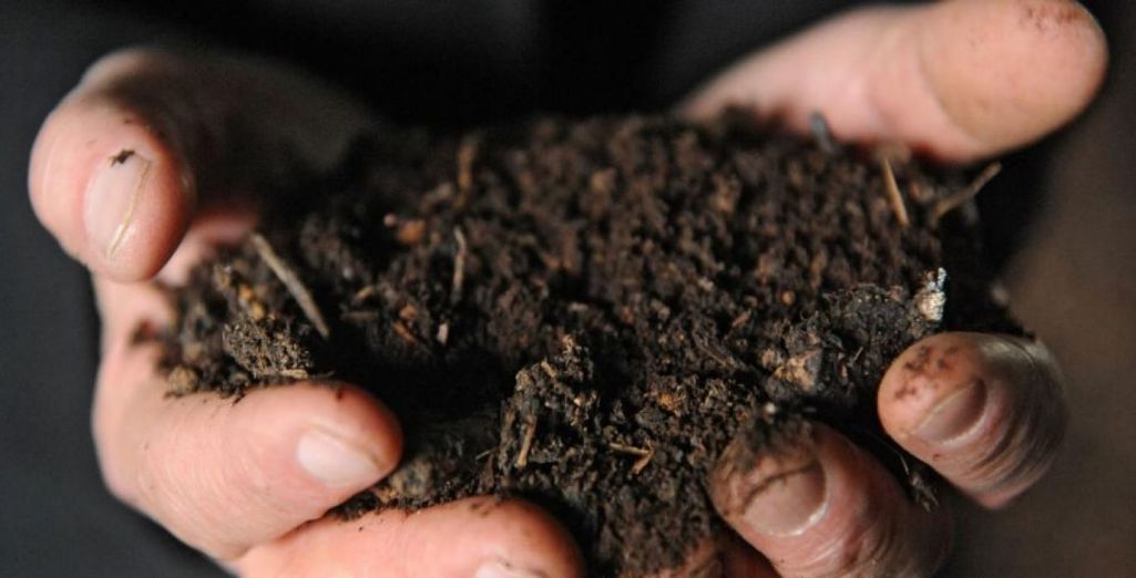 Comment réaliser un bon compost ?