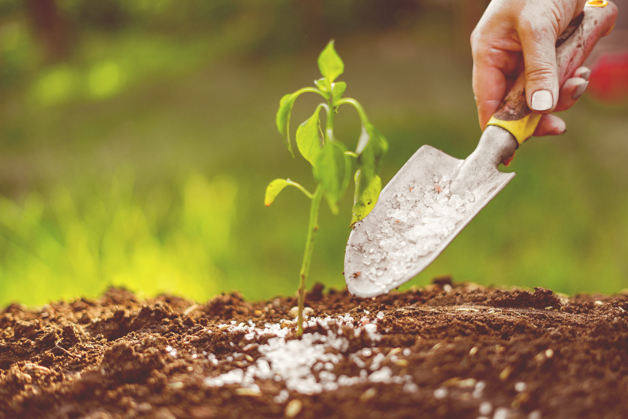 Engrais et fertilisants pour jardin