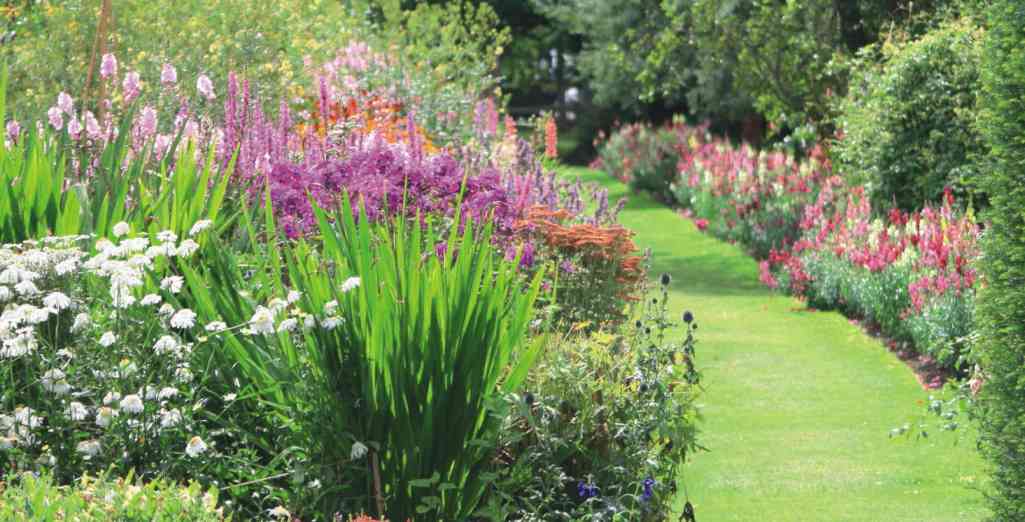 Arche fleurie : nos conseils pour une déco de jardin réussie