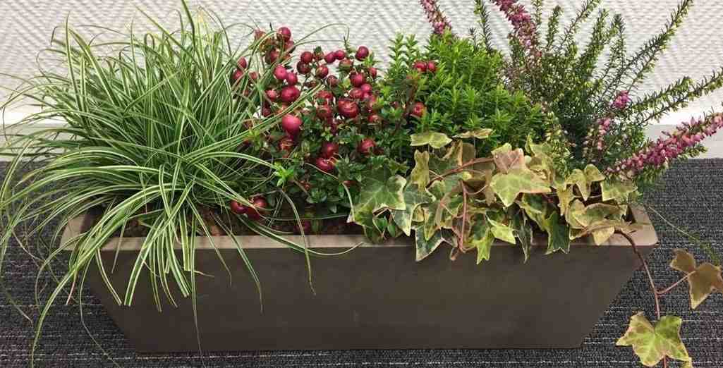 Top 11 des jardinières design pour votre balcon et jardin