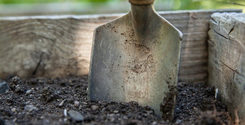 Préparation et plantation des plantes | Leaderplant