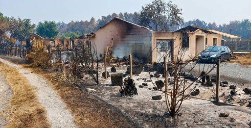 Comment restaurer son jardin après un incendie ?