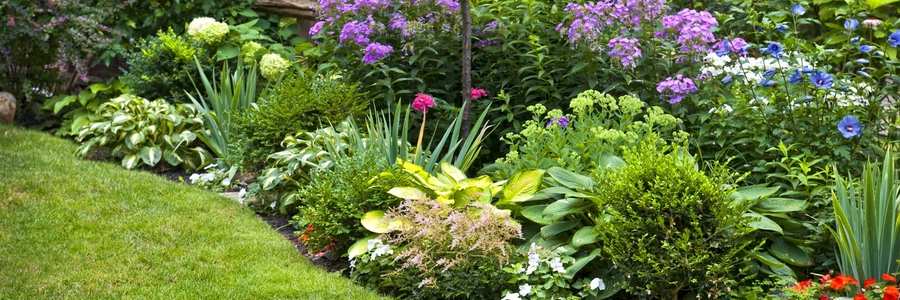 Comment créer un parterre de fleurs