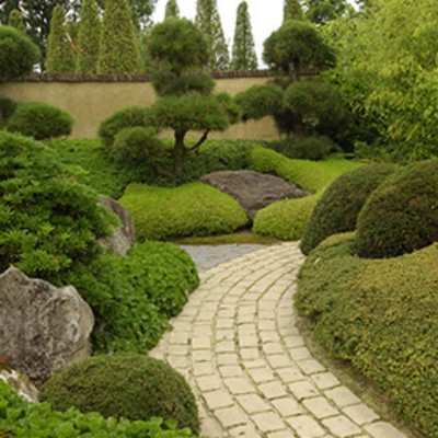 jardin japonais