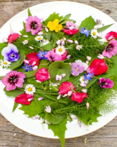 les fleurs comestibles3