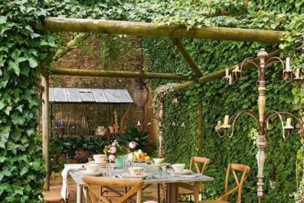 Lierre sur pergola