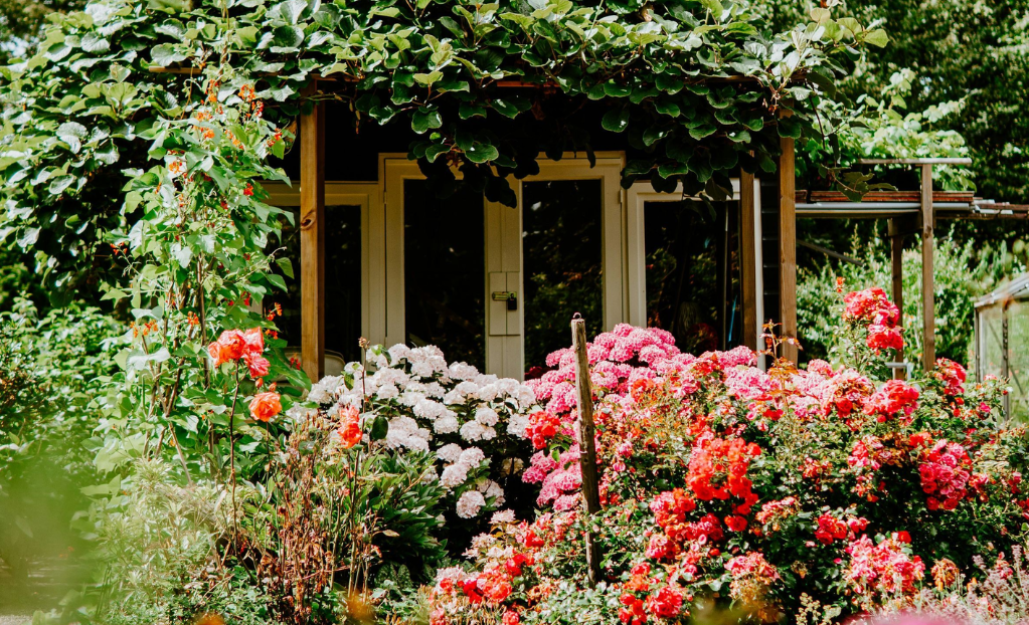 Petit jardin / Leaderplant