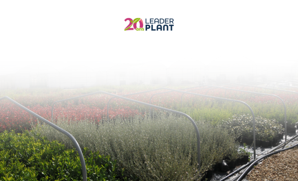 20 ans Leaderplant
