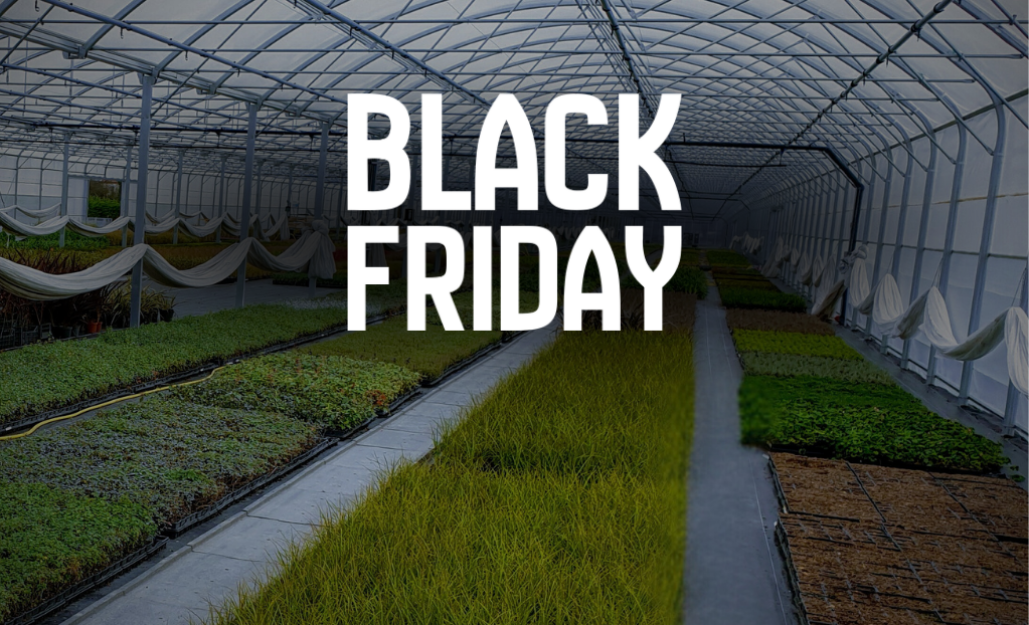 Black Friday 2025 Leaderplant