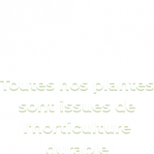 Toutes nos plantes sont produites près de Nantes