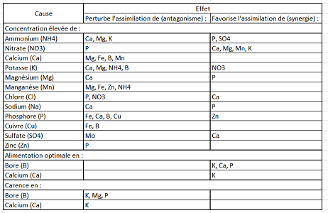 Interaction de l'absorption des nutriments 