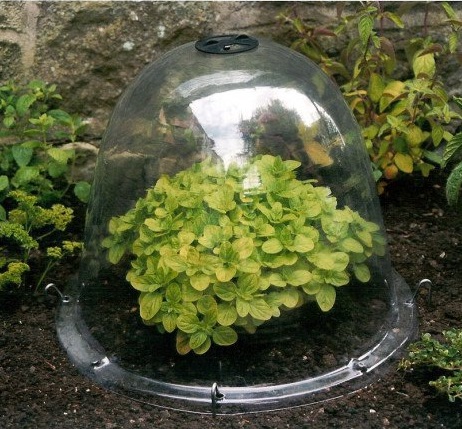 4 indispensables pour protéger ses plantes en pot du gel - Direct-Filet.com  le blog