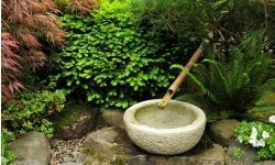 arbustes jardin japonais; jardin zen