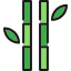 Bambous Phyllostachys