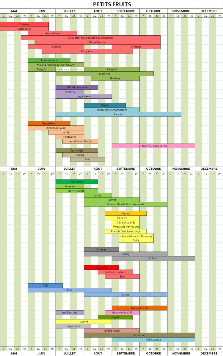 Calendrier de récolte des petits fruits