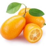 Kumquat