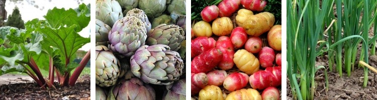 Légumes perpétuels Potagers