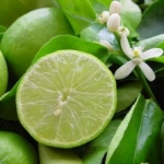 Lime de Tahiti