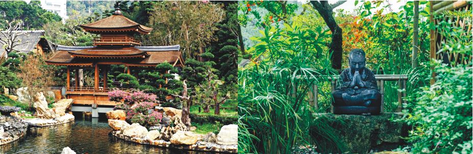 jardin japonais - leaderplant