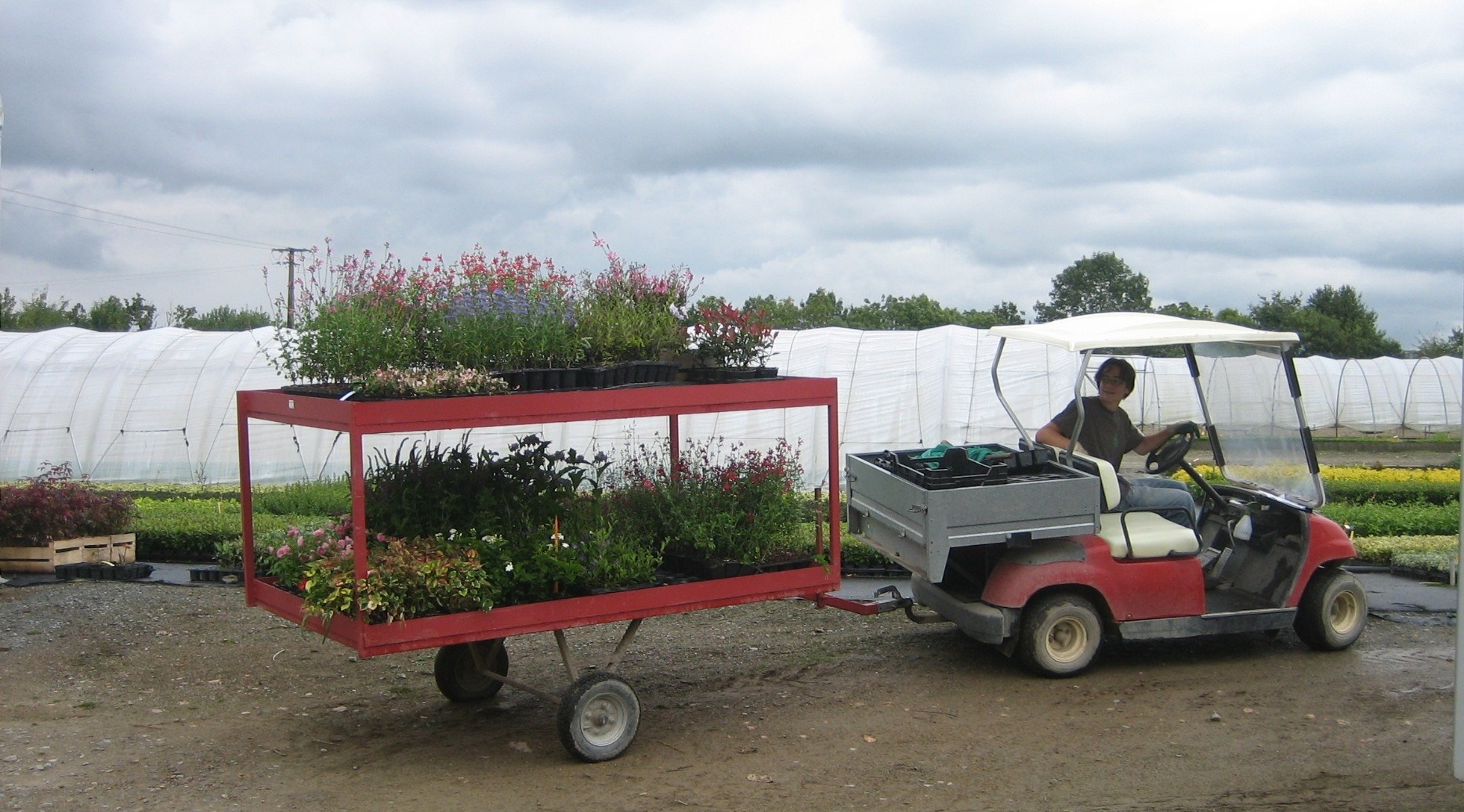 Transport de plantes sur un chariot dans la pépinière Leaderplant
