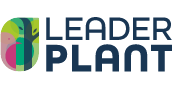 Leaderplant