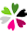 Couleur floraison